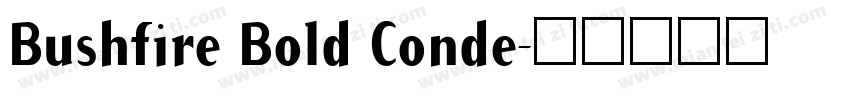 Bushfire Bold Conde字体转换